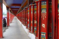 西寧発同仁熱貢画院・隆務寺日帰り観光