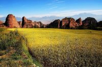 西寧発タール寺・カンブラ国家森林公園日帰り観光