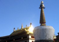 西寧発 タール寺・蔵文化博物院  日帰り観光