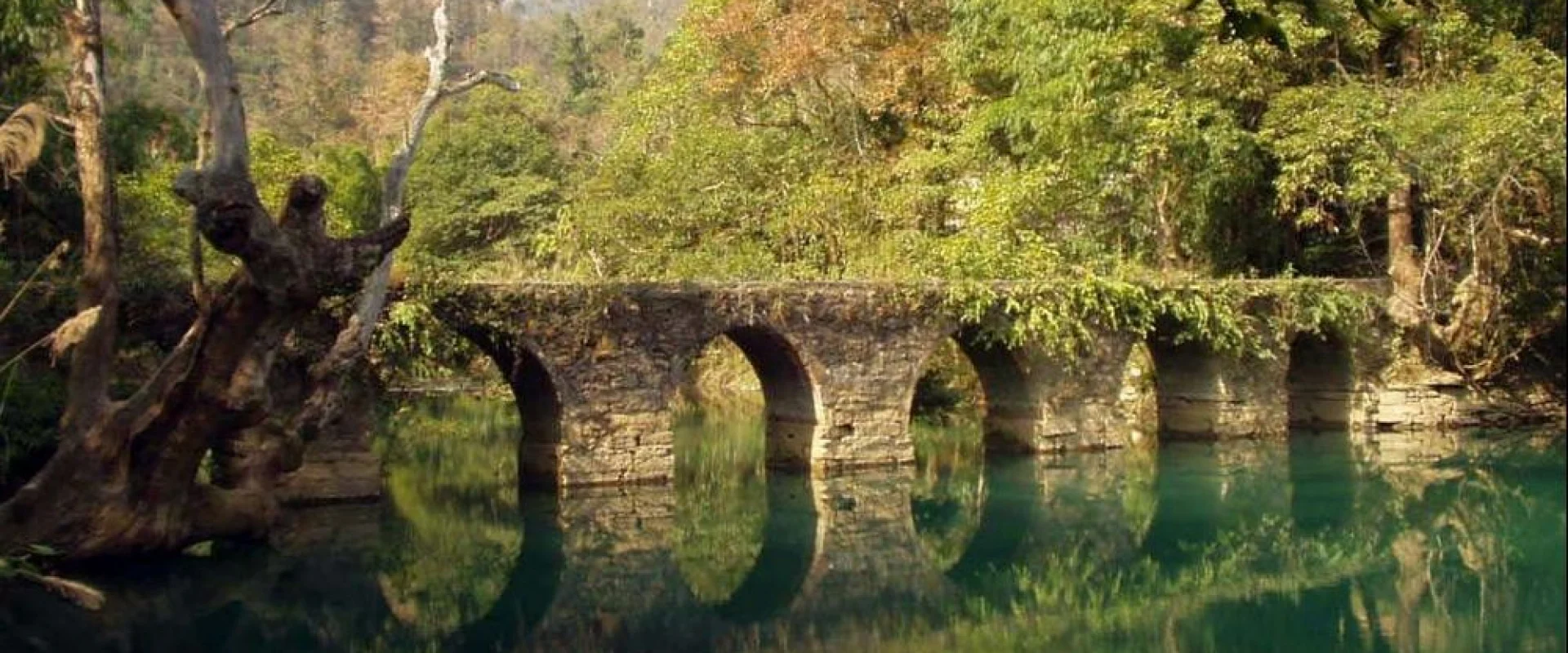 茘波