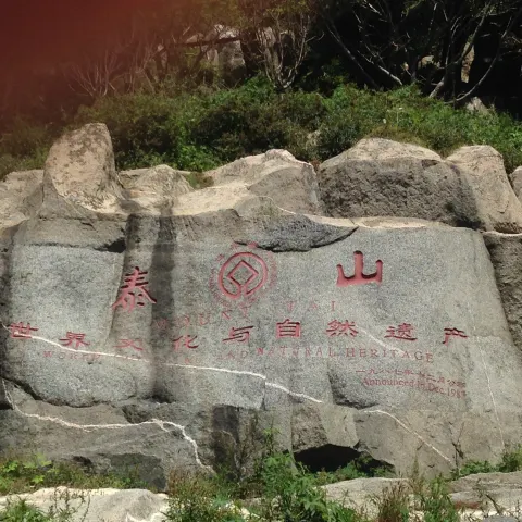 泰山　撮影：竹中信司