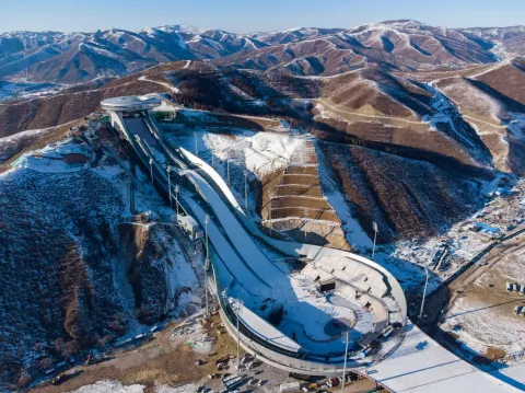 雪如意