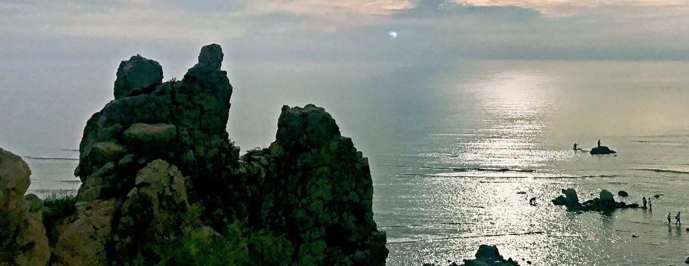 駱駝山海浜森林公園