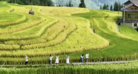 三都