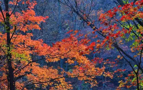関門山国家森林公園 (2)