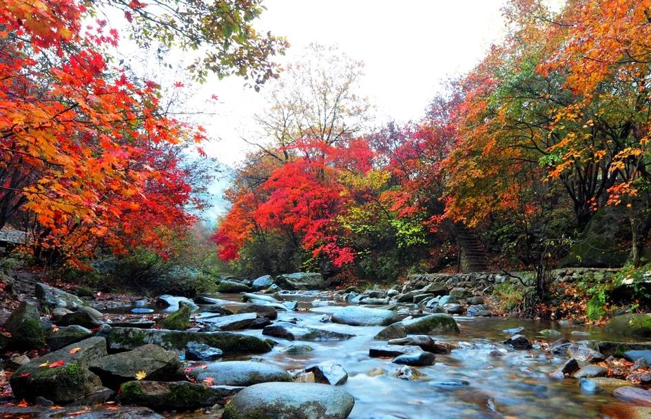 老辺溝景区