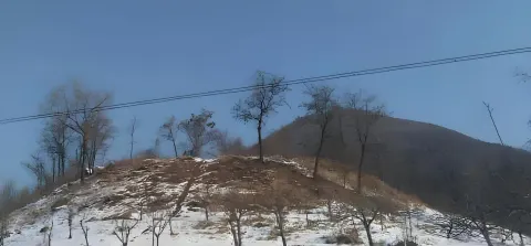 杜度王爺陵（金王墳）