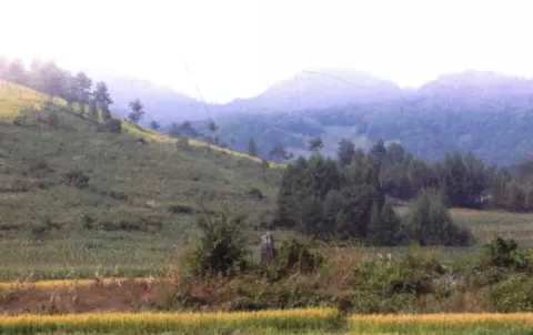 馮家堡子墓地