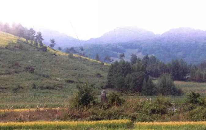 馮家堡子墓地