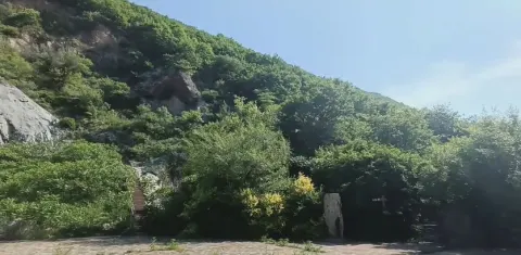廟後山遺跡