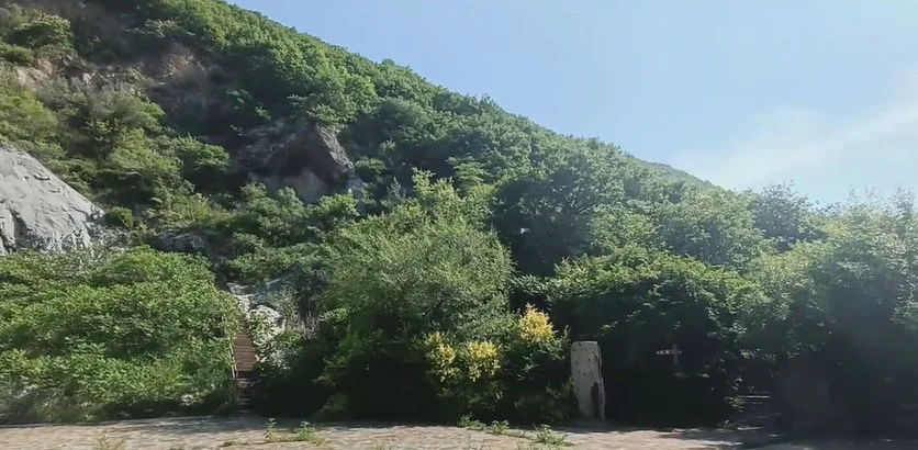 廟後山遺跡