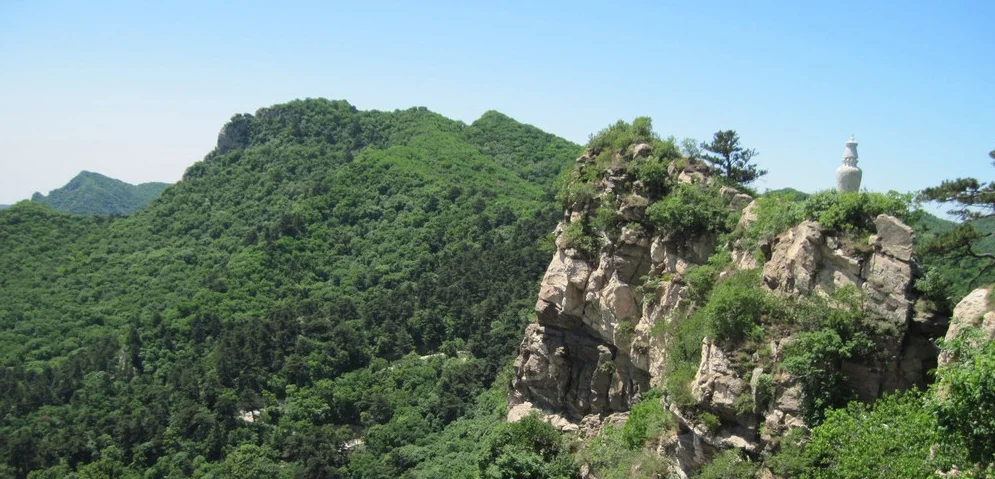 大芦花風景区
