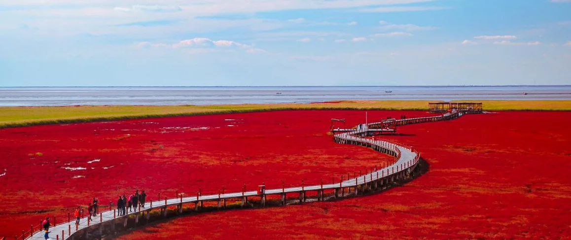 紅海浜国家風景回廊