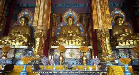 崇寿寺塔 (2)
