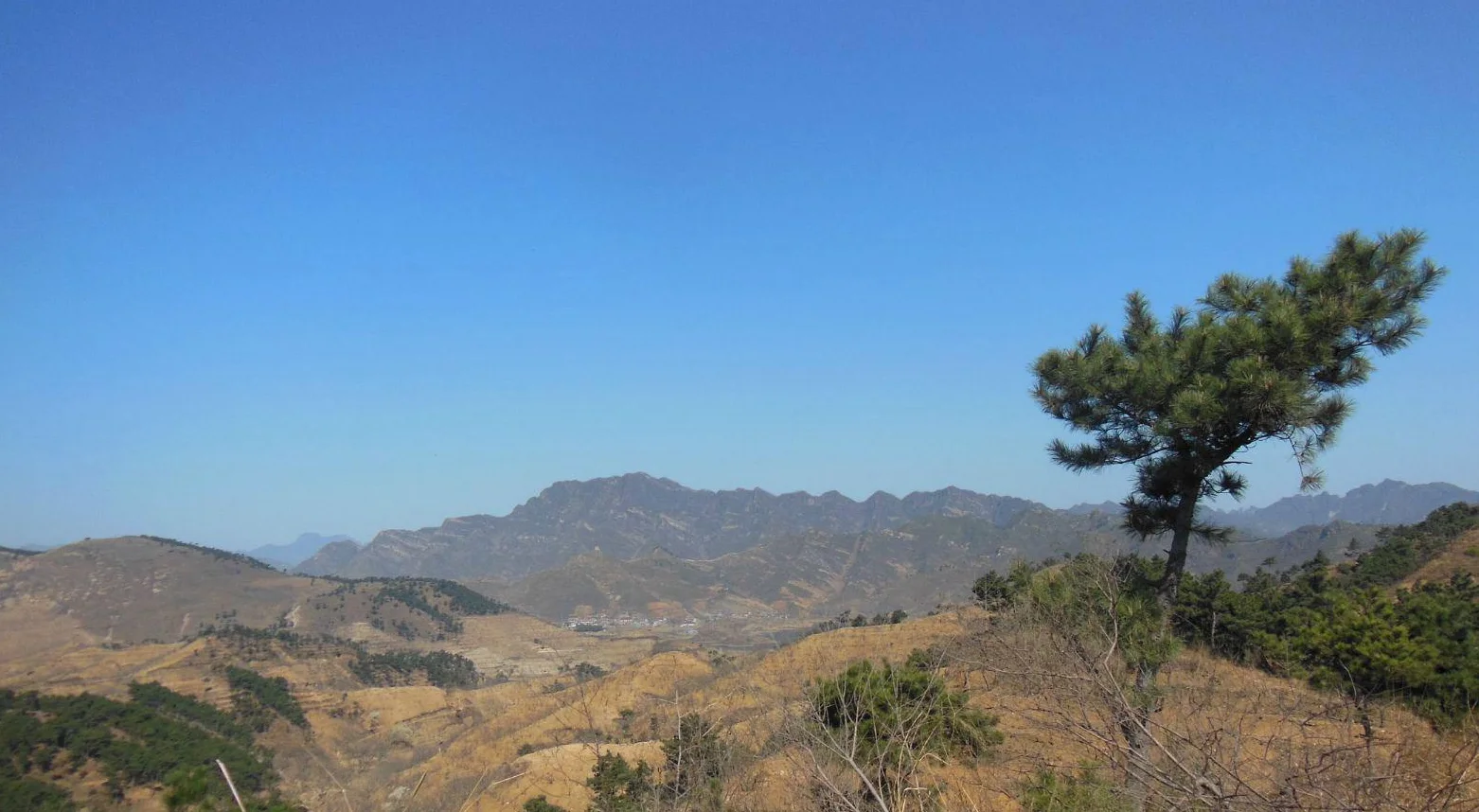 努魯児虎山脈
