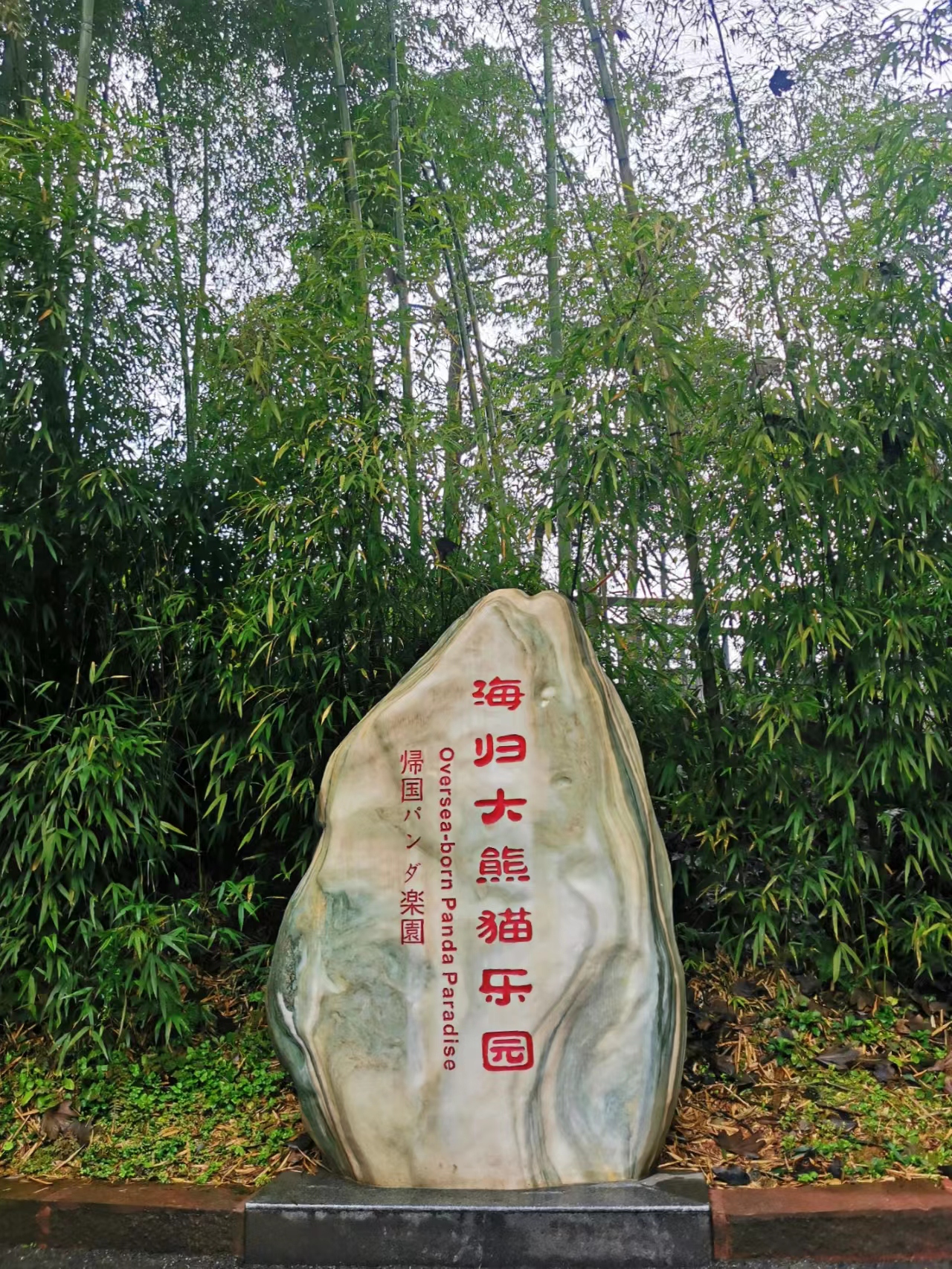 帰国パンダ楽園
