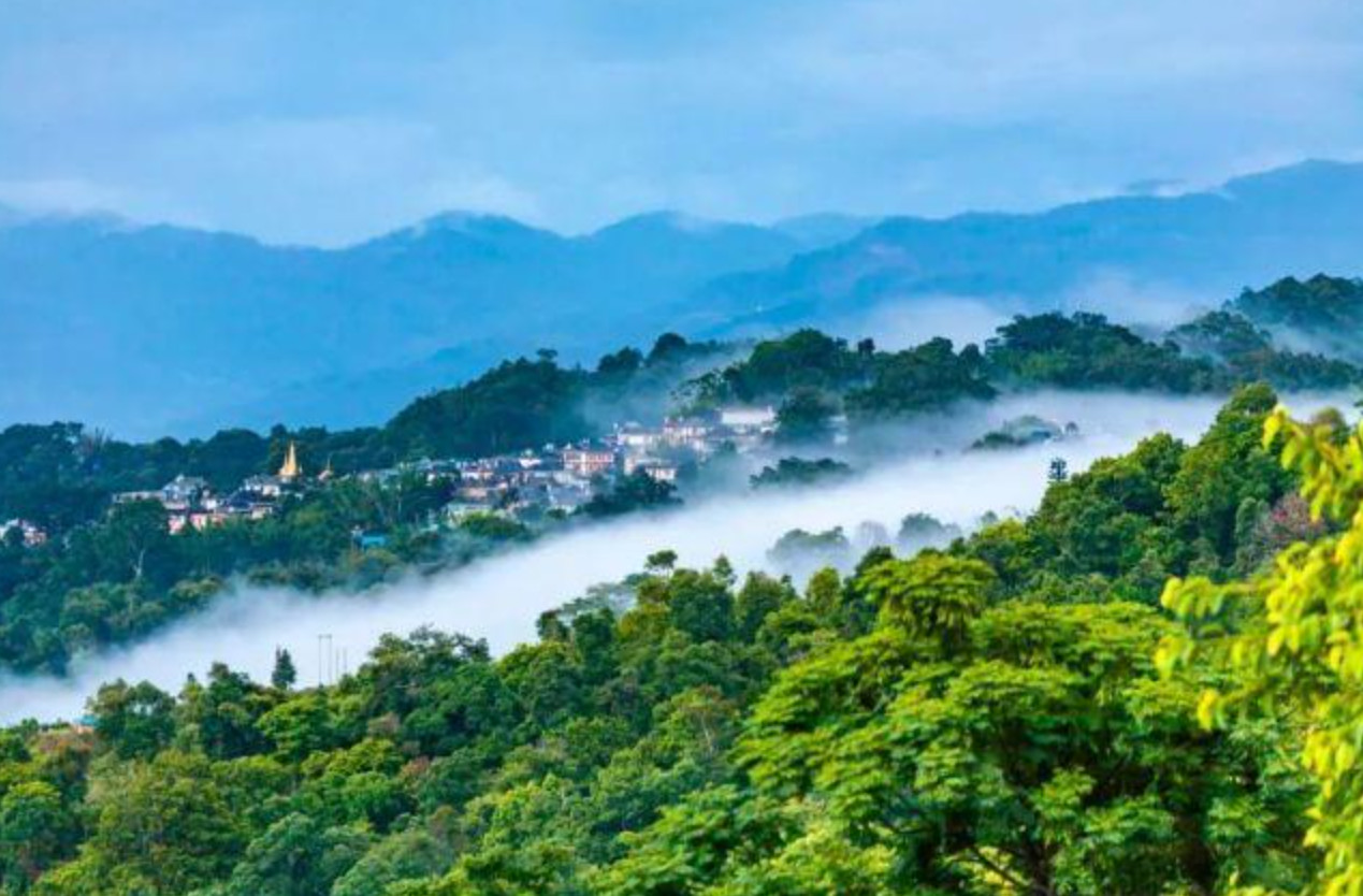 普洱景迈山古茶林文化景観