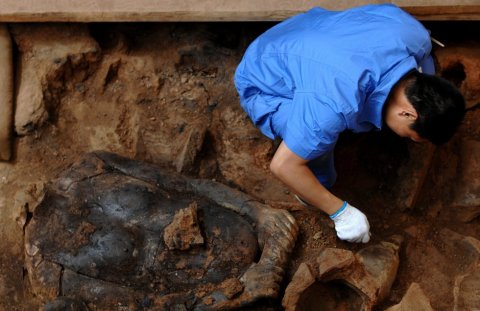 6月9日、考古専門家は秦兵馬俑博物館“百戯俑”坑では頭がなくなる陶製俑を整理しています。