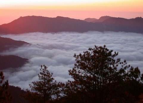 阿里山